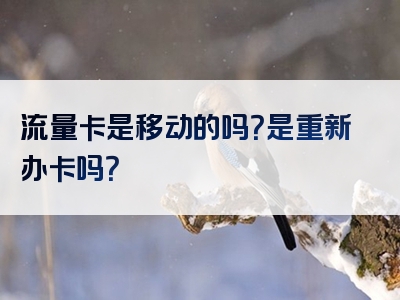 流量卡是移动的吗？是重新办卡吗？