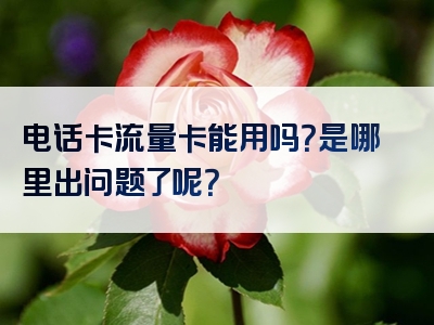 电话卡流量卡能用吗？是哪里出问题了呢？
