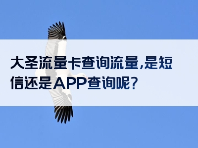 大圣流量卡查询流量，是短信还是APP查询呢？