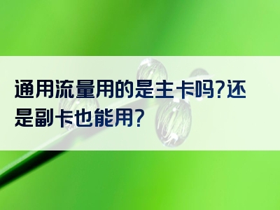通用流量用的是主卡吗？还是副卡也能用？