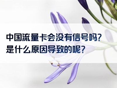 中国流量卡会没有信号吗？是什么原因导致的呢？