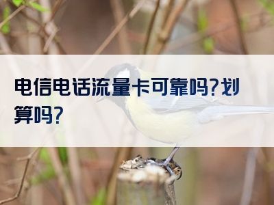 电信电话流量卡可靠吗？划算吗？