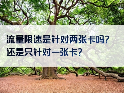 流量限速是针对两张卡吗？还是只针对一张卡？