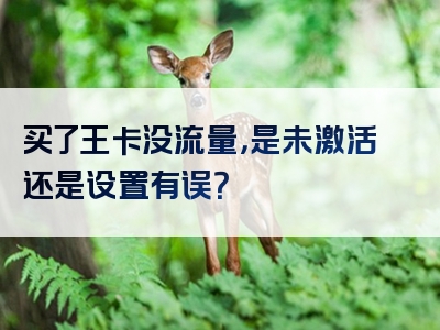 买了王卡没流量，是未激活还是设置有误？