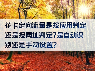花卡定向流量是按应用判定还是按网址判定？是自动识别还是手动设置？