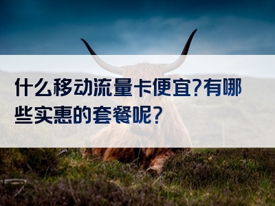 什么移动流量卡便宜？有哪些实惠的套餐呢？