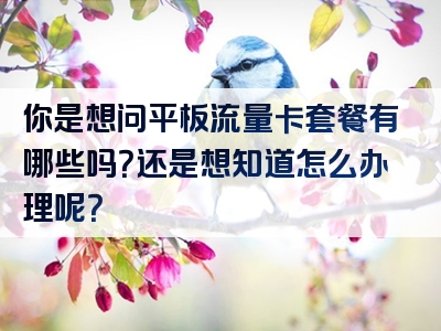 你是想问平板流量卡套餐有哪些吗？还是想知道怎么办理呢？