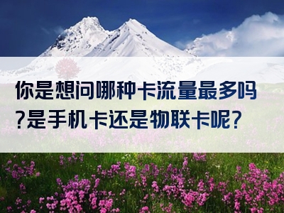 你是想问哪种卡流量最多吗？是手机卡还是物联卡呢？
