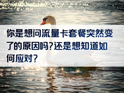 你是想问流量卡套餐突然变了的原因吗？还是想知道如何应对？