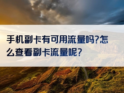 手机副卡有可用流量吗？怎么查看副卡流量呢？