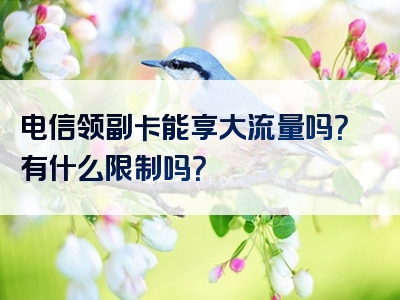 电信领副卡能享大流量吗？有什么限制吗？