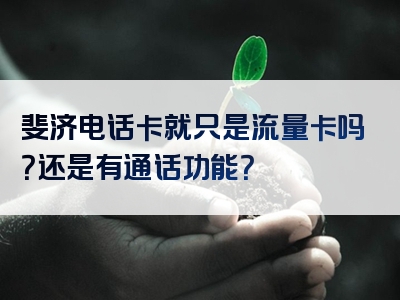 斐济电话卡就只是流量卡吗？还是有通话功能？
