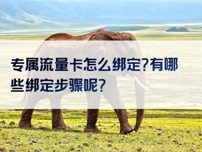 专属流量卡怎么绑定？有哪些绑定步骤呢？