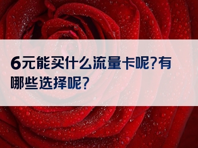 6元能买什么流量卡呢？有哪些选择呢？