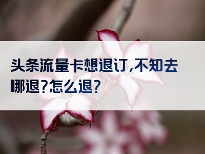 头条流量卡想退订，不知去哪退？怎么退？