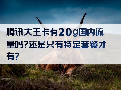 腾讯大王卡有20g国内流量吗？还是只有特定套餐才有？