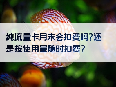 纯流量卡月末会扣费吗？还是按使用量随时扣费？
