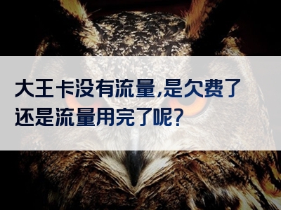 大王卡没有流量，是欠费了还是流量用完了呢？