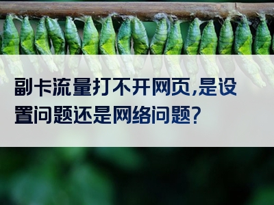 副卡流量打不开网页，是设置问题还是网络问题？