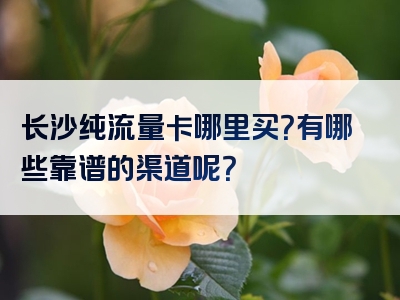 长沙纯流量卡哪里买？有哪些靠谱的渠道呢？