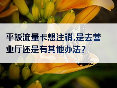 平板流量卡想注销，是去营业厅还是有其他办法？