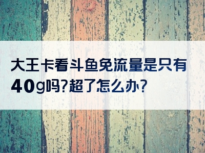 大王卡看斗鱼免流量是只有40g吗？超了怎么办？