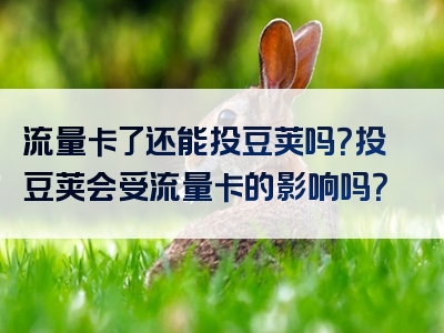 流量卡了还能投豆荚吗？投豆荚会受流量卡的影响吗？