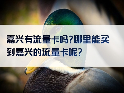 嘉兴有流量卡吗？哪里能买到嘉兴的流量卡呢？