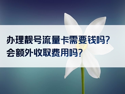 办理靓号流量卡需要钱吗？会额外收取费用吗？