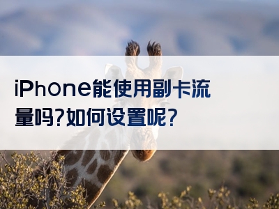 iPhone能使用副卡流量吗？如何设置呢？