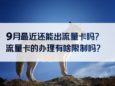 9月最近还能出流量卡吗？流量卡的办理有啥限制吗？