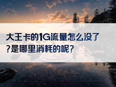 大王卡的1G流量怎么没了？是哪里消耗的呢？