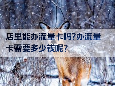 店里能办流量卡吗？办流量卡需要多少钱呢？