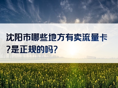 沈阳市哪些地方有卖流量卡？是正规的吗？
