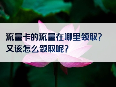流量卡的流量在哪里领取？又该怎么领取呢？