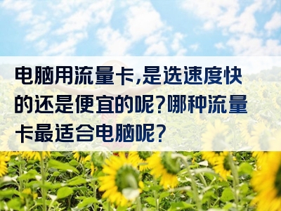 电脑用流量卡，是选速度快的还是便宜的呢？哪种流量卡最适合电脑呢？