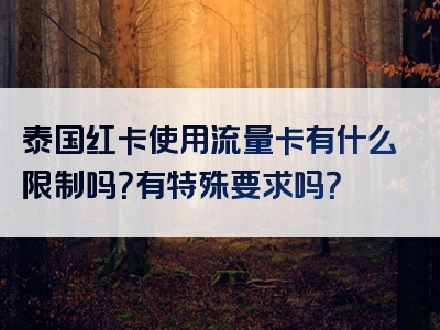 泰国红卡使用流量卡有什么限制吗？有特殊要求吗？