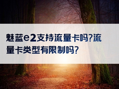 魅蓝e2支持流量卡吗？流量卡类型有限制吗？