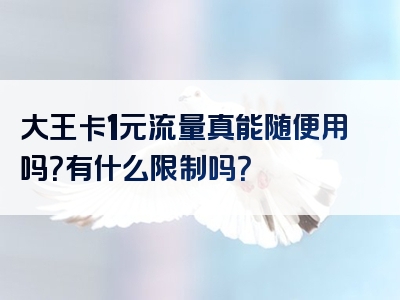 大王卡1元流量真能随便用吗？有什么限制吗？