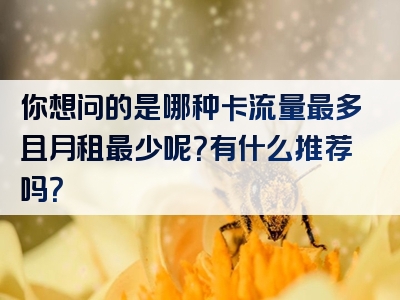 你想问的是哪种卡流量最多且月租最少呢？有什么推荐吗？