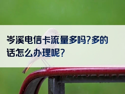 岑溪电信卡流量多吗？多的话怎么办理呢？