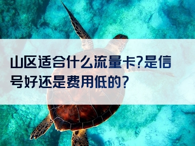 山区适合什么流量卡？是信号好还是费用低的？