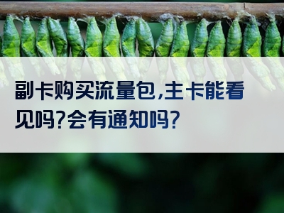 副卡购买流量包，主卡能看见吗？会有通知吗？