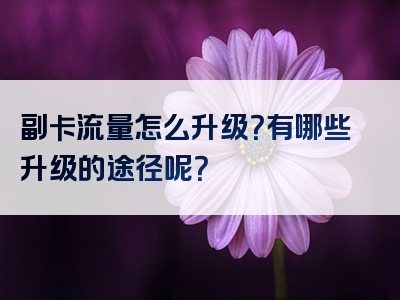 副卡流量怎么升级？有哪些升级的途径呢？