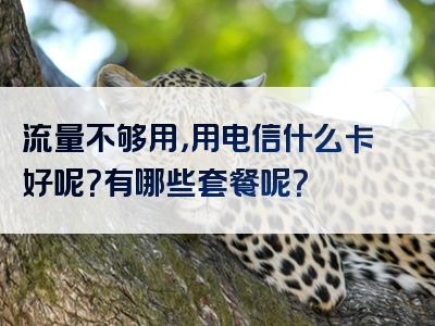 流量不够用，用电信什么卡好呢？有哪些套餐呢？