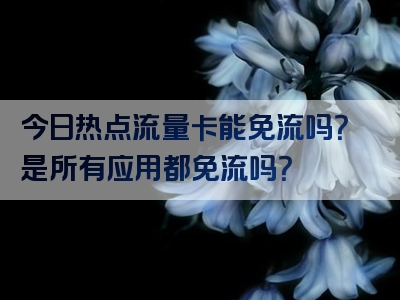 今日热点流量卡能免流吗？是所有应用都免流吗？
