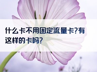 什么卡不用固定流量卡？有这样的卡吗？