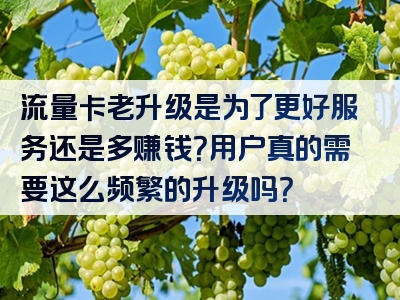 流量卡老升级是为了更好服务还是多赚钱？用户真的需要这么频繁的升级吗？
