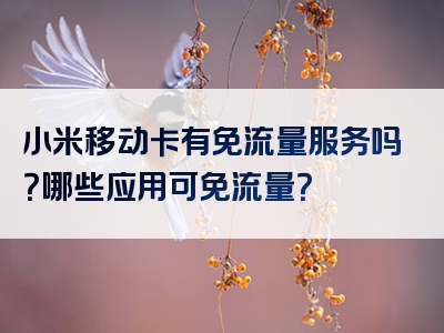 小米移动卡有免流量服务吗？哪些应用可免流量？
