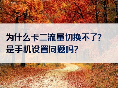 为什么卡二流量切换不了？是手机设置问题吗？